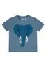 FLINQ baby jongens  T-shirt